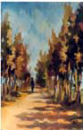 Avenue