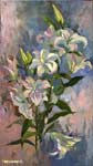 Lilies 3