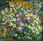 Wild flowers