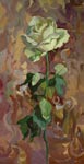 White rose