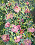 Dogrose